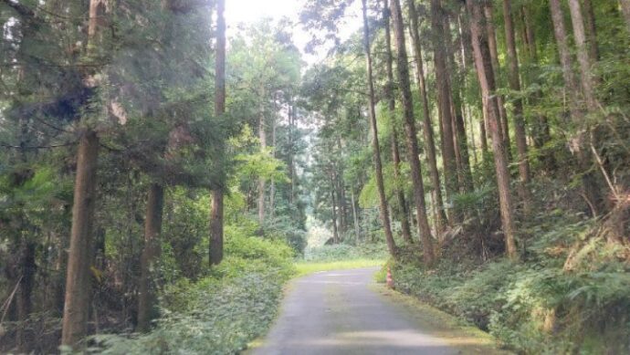 化学物質や農薬をデトックスできるサロンのSummer vacation in Reinokita, Kochi, full of nature. Refresh your body and mind with fresh air!